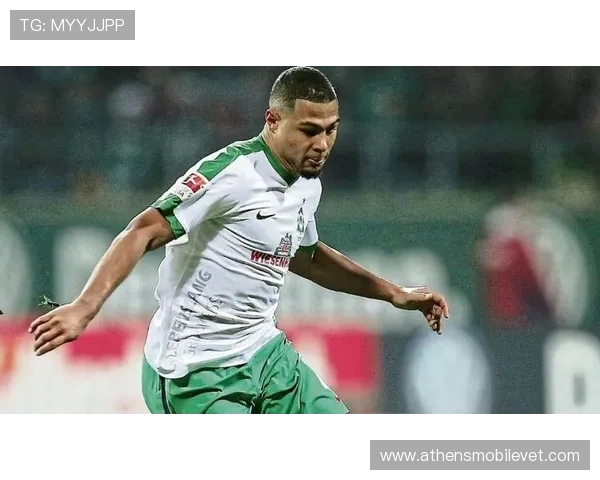 开云体育在线：为体育爱好者提供专业高清赛事直播和实时比分分析