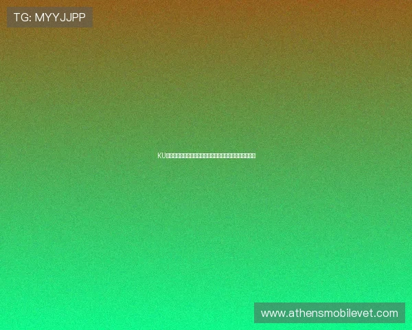 KU万博体育平台最新玩法介绍助你轻松掌握游戏技巧提升胜率